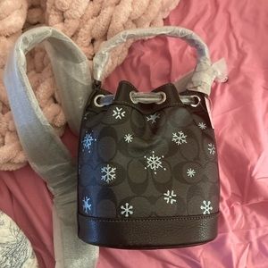 Coach snowflake bag NWT